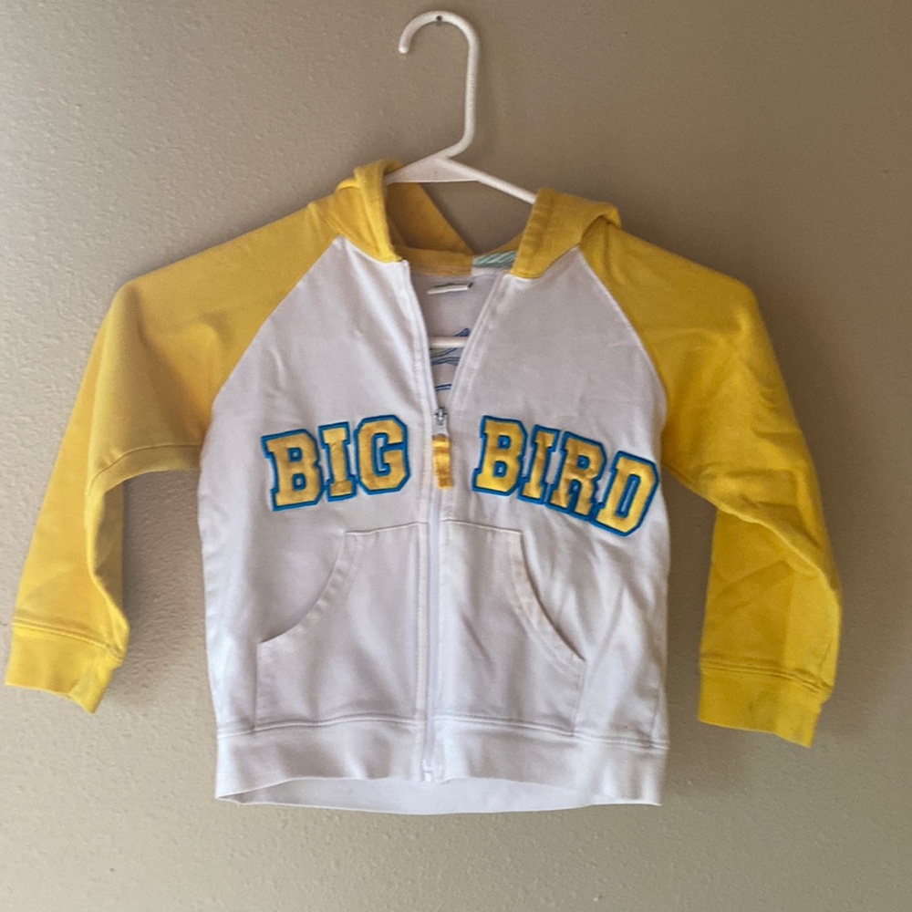 Vintage Sesame Street 4T Big Bird Hoodie